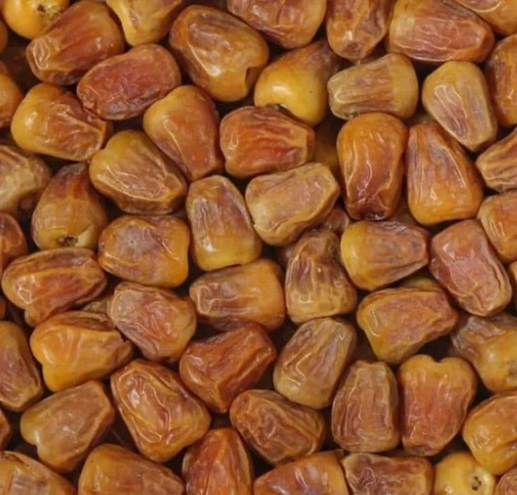 Khudri Dates